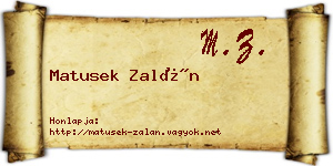 Matusek Zalán névjegykártya